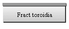Fract toroidia